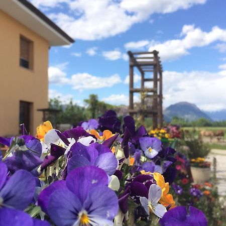 Agriturismo San Floreano Buia Exterior foto